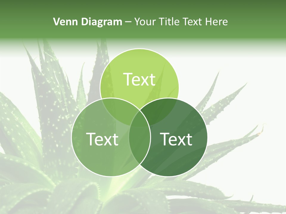 Detailed Plant Space PowerPoint Template