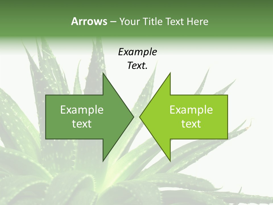 Detailed Plant Space PowerPoint Template