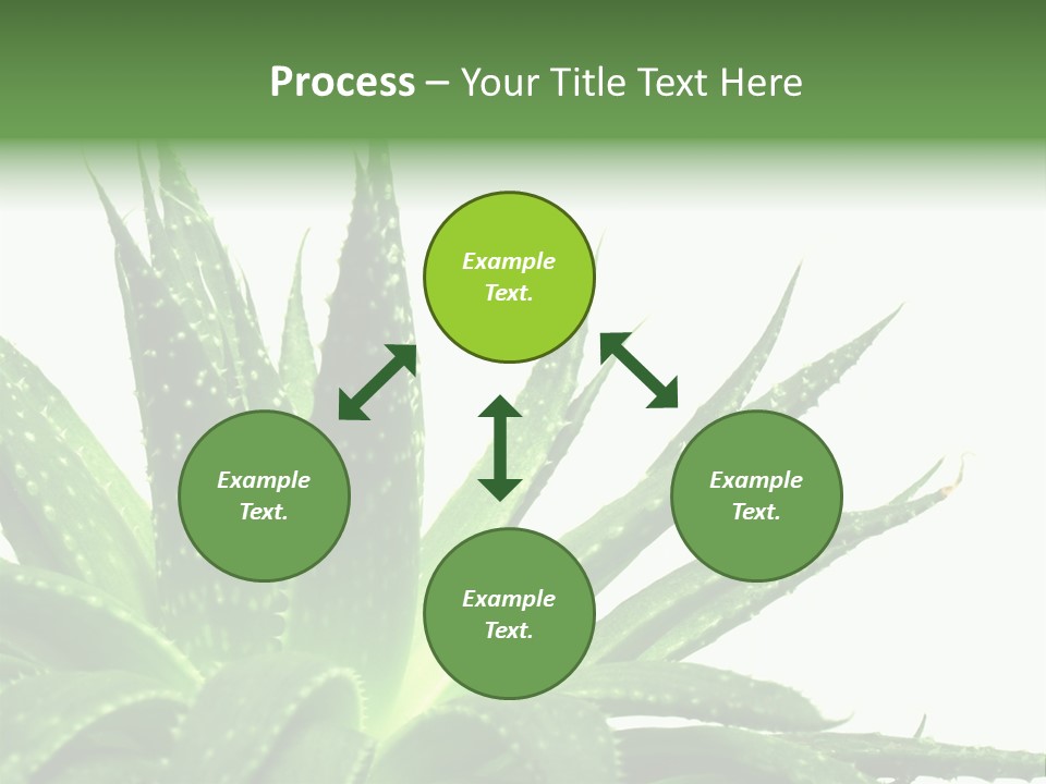 Detailed Plant Space PowerPoint Template