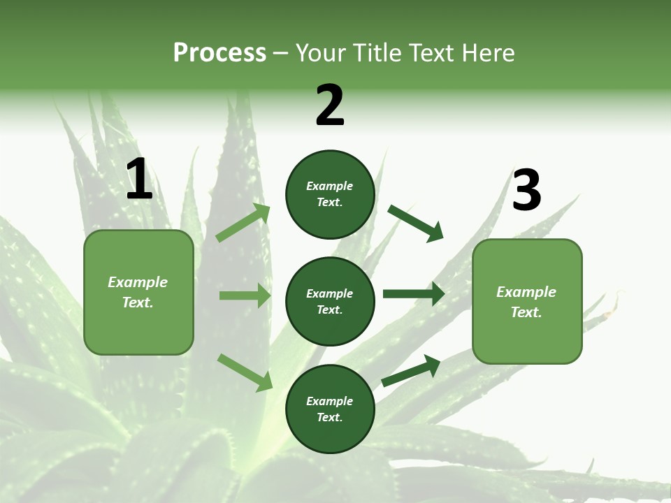 Detailed Plant Space PowerPoint Template