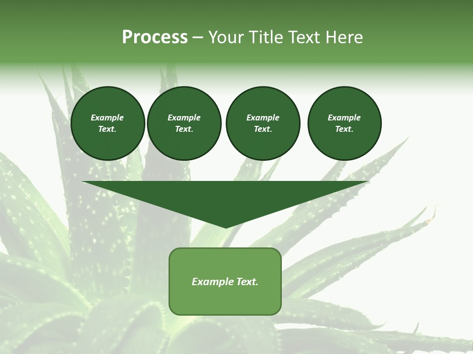 Detailed Plant Space PowerPoint Template