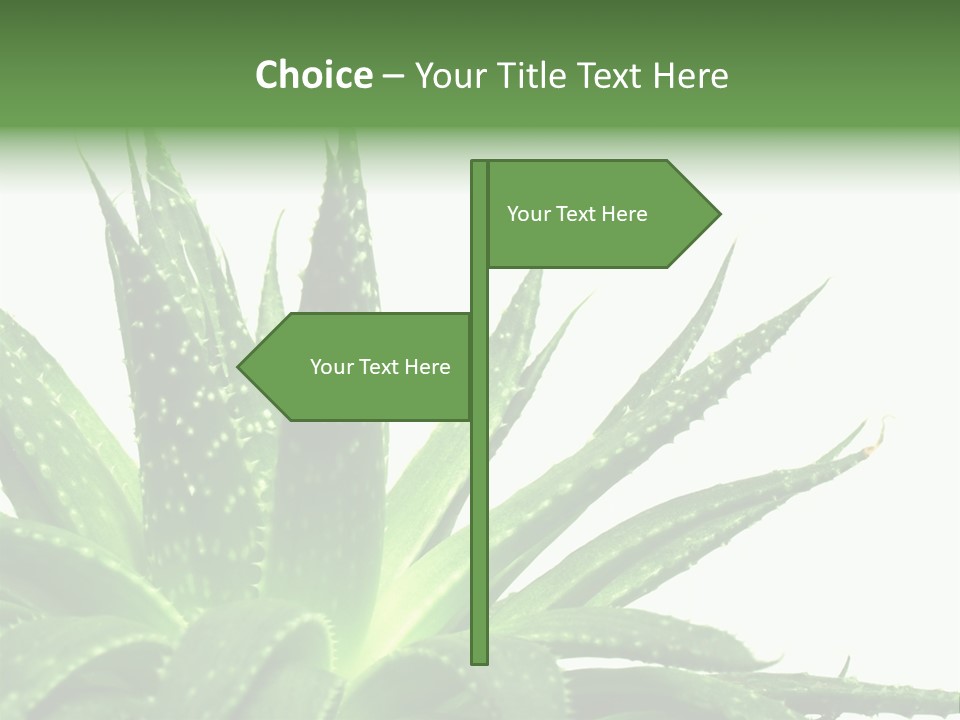 Detailed Plant Space PowerPoint Template