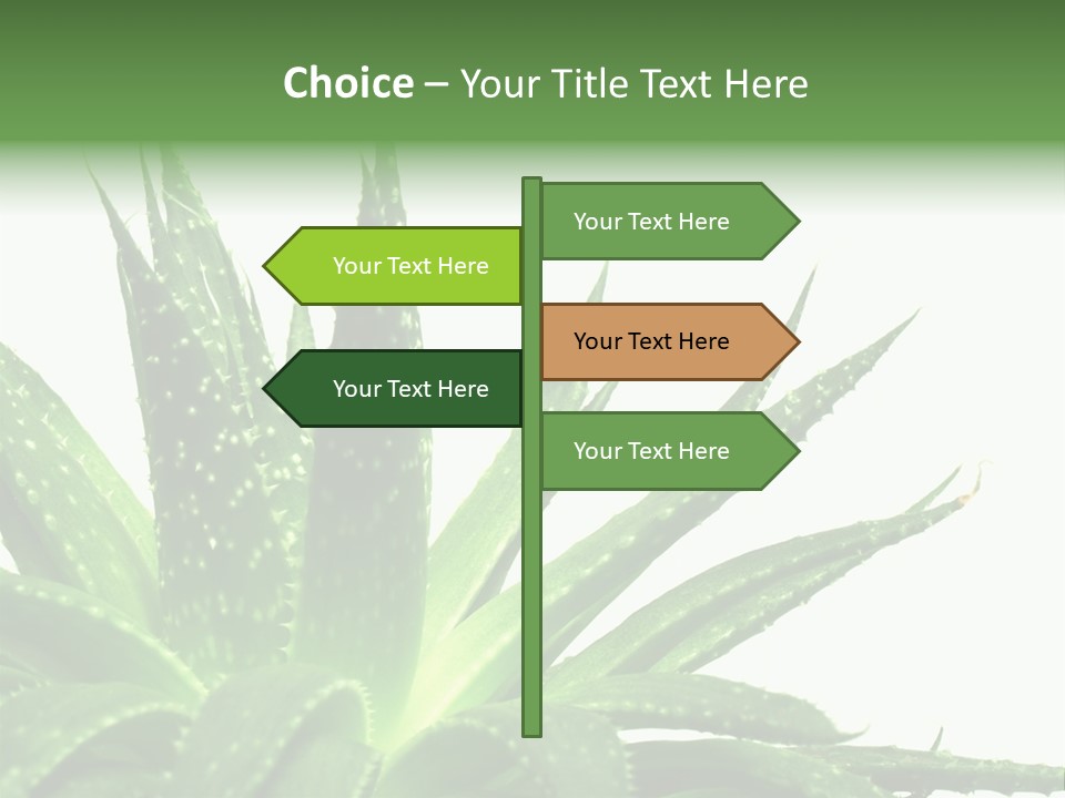 Detailed Plant Space PowerPoint Template