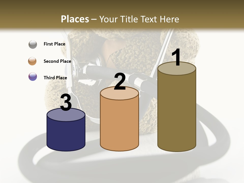 Examination Bear Wounded PowerPoint Template