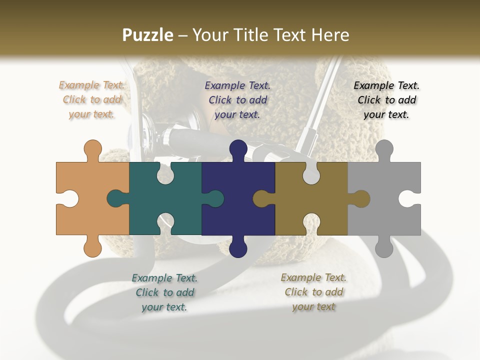 Examination Bear Wounded PowerPoint Template