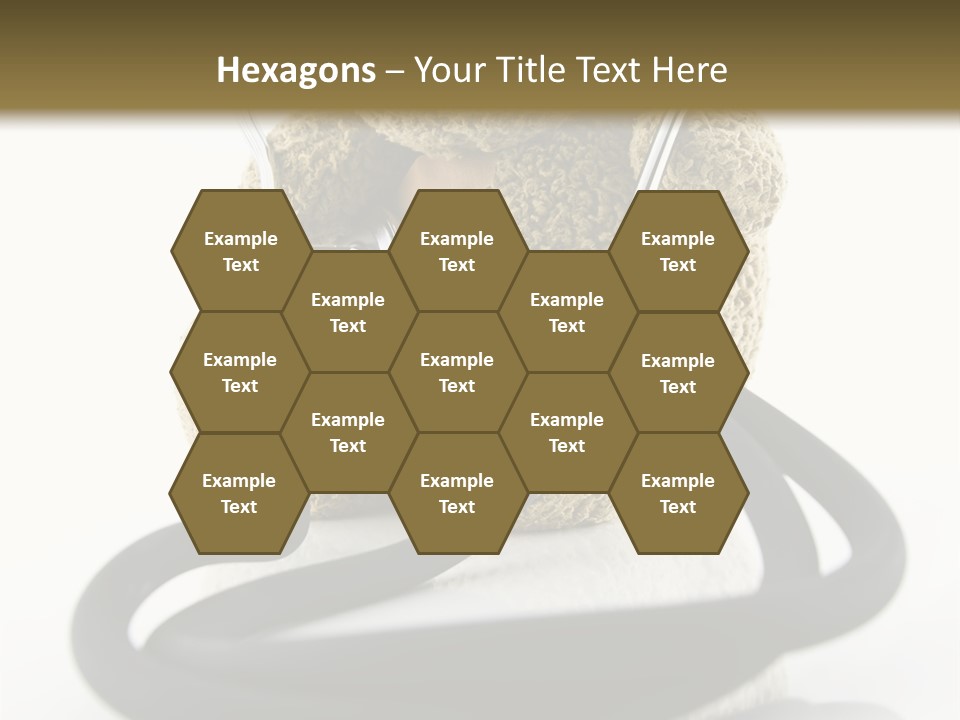 Examination Bear Wounded PowerPoint Template