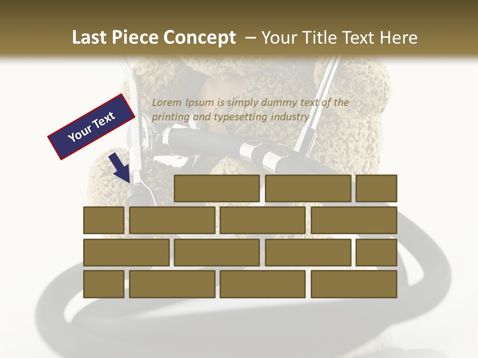 Examination Bear Wounded PowerPoint Template