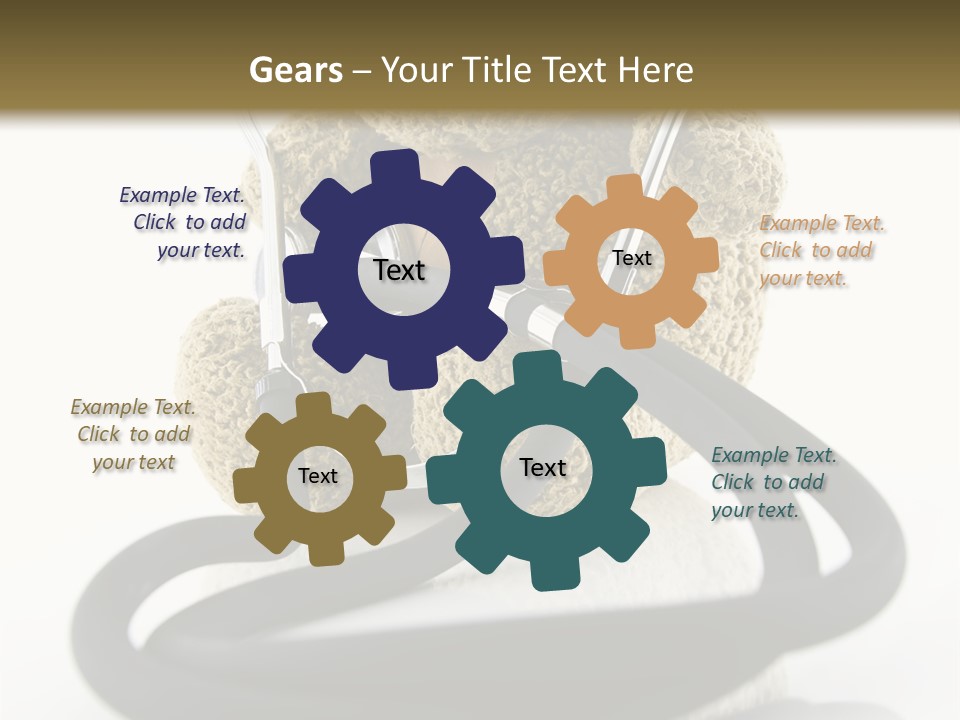Examination Bear Wounded PowerPoint Template