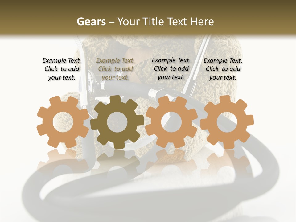 Examination Bear Wounded PowerPoint Template