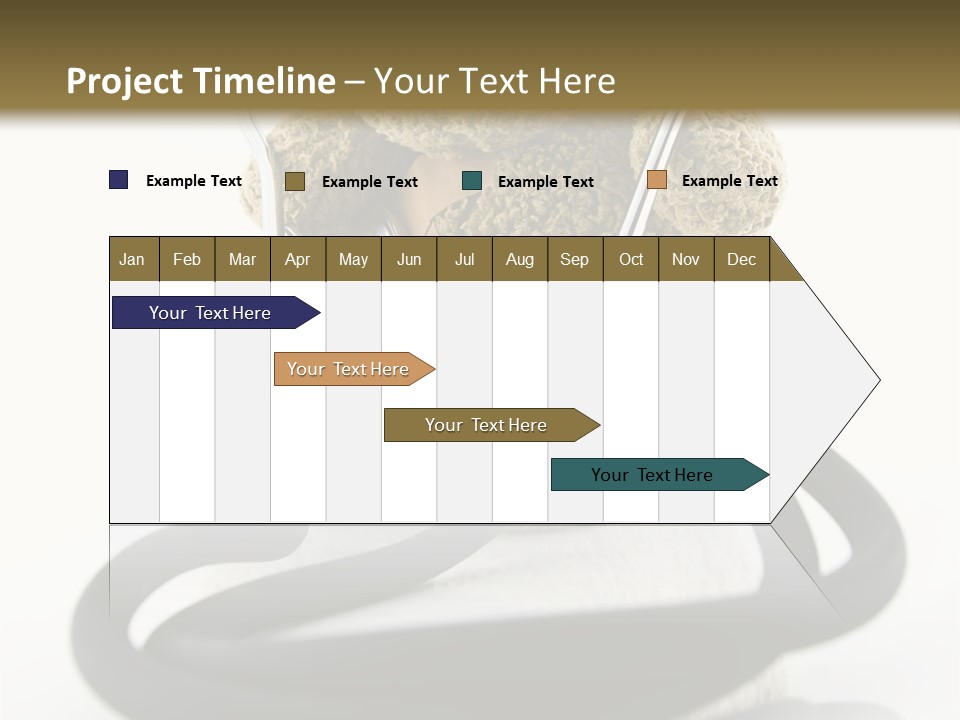 Examination Bear Wounded PowerPoint Template