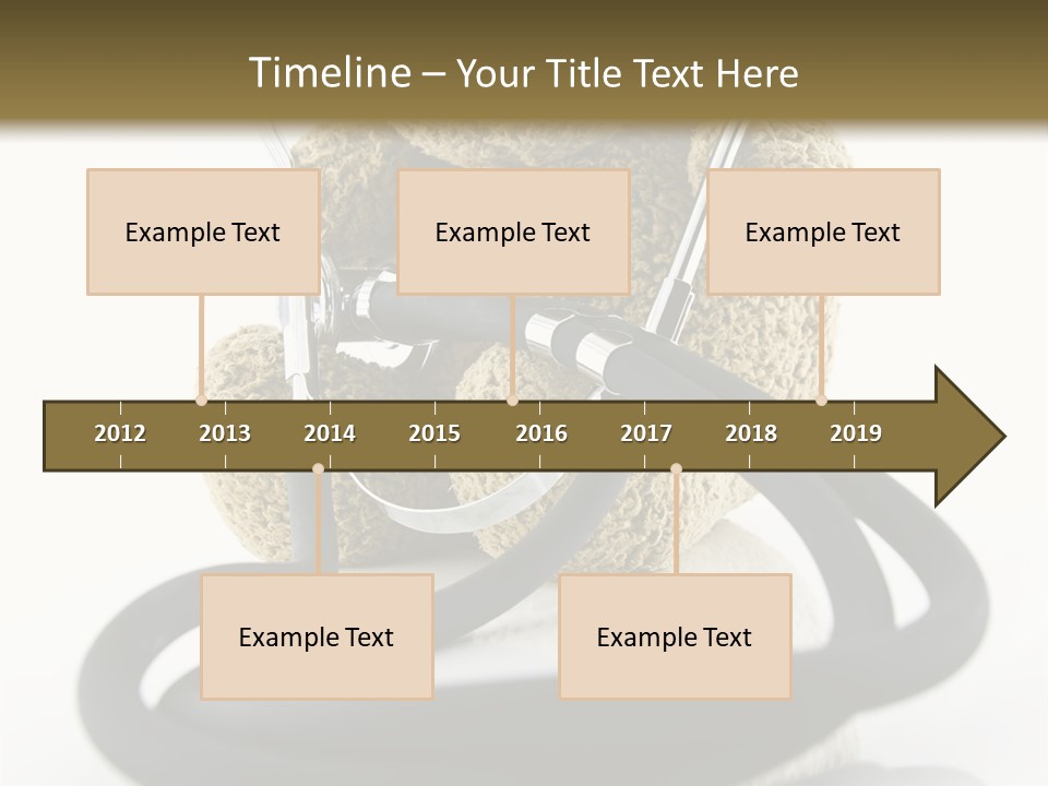 Examination Bear Wounded PowerPoint Template