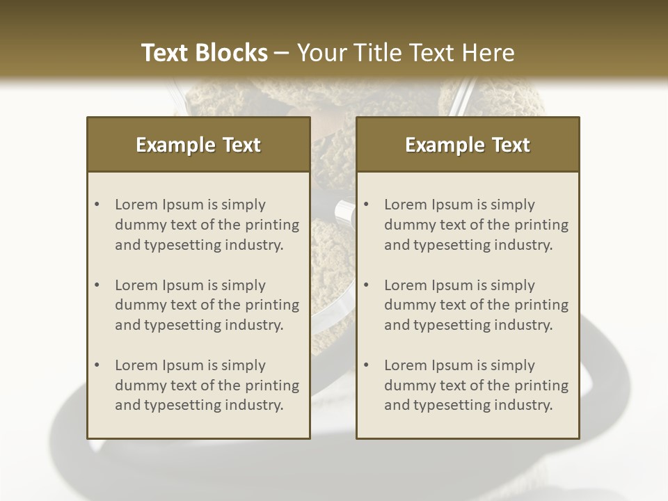 Examination Bear Wounded PowerPoint Template