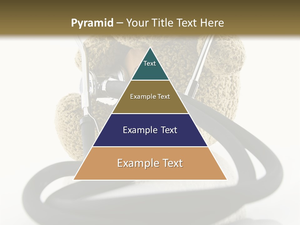 Examination Bear Wounded PowerPoint Template