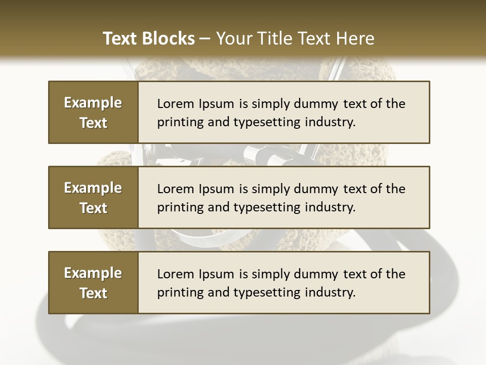 Examination Bear Wounded PowerPoint Template