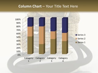 Examination Bear Wounded PowerPoint Template