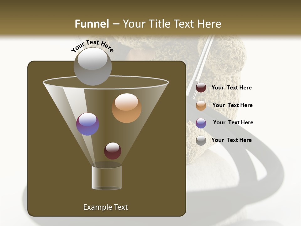 Examination Bear Wounded PowerPoint Template