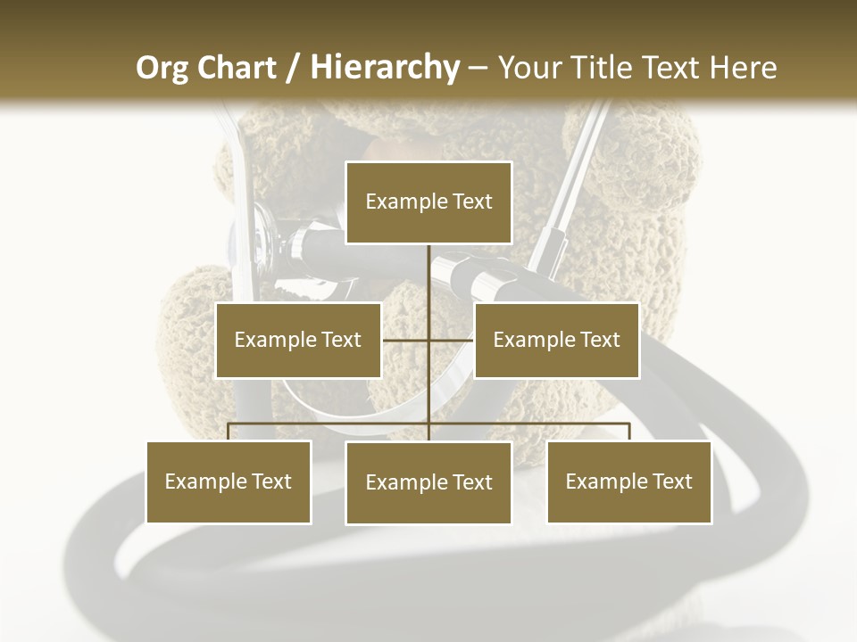 Examination Bear Wounded PowerPoint Template