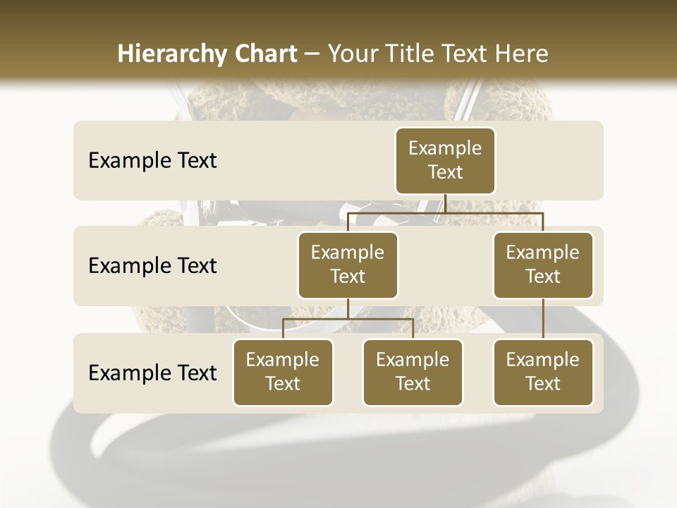 Examination Bear Wounded PowerPoint Template
