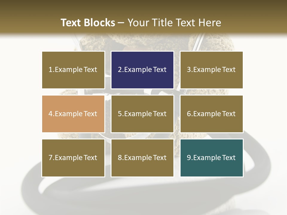 Examination Bear Wounded PowerPoint Template