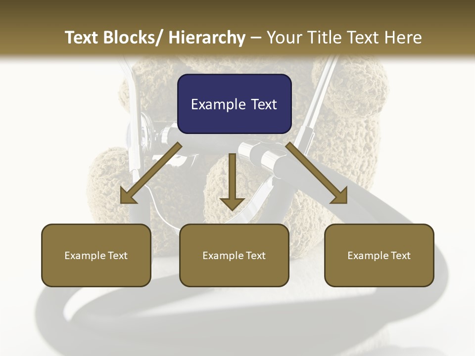 Examination Bear Wounded PowerPoint Template
