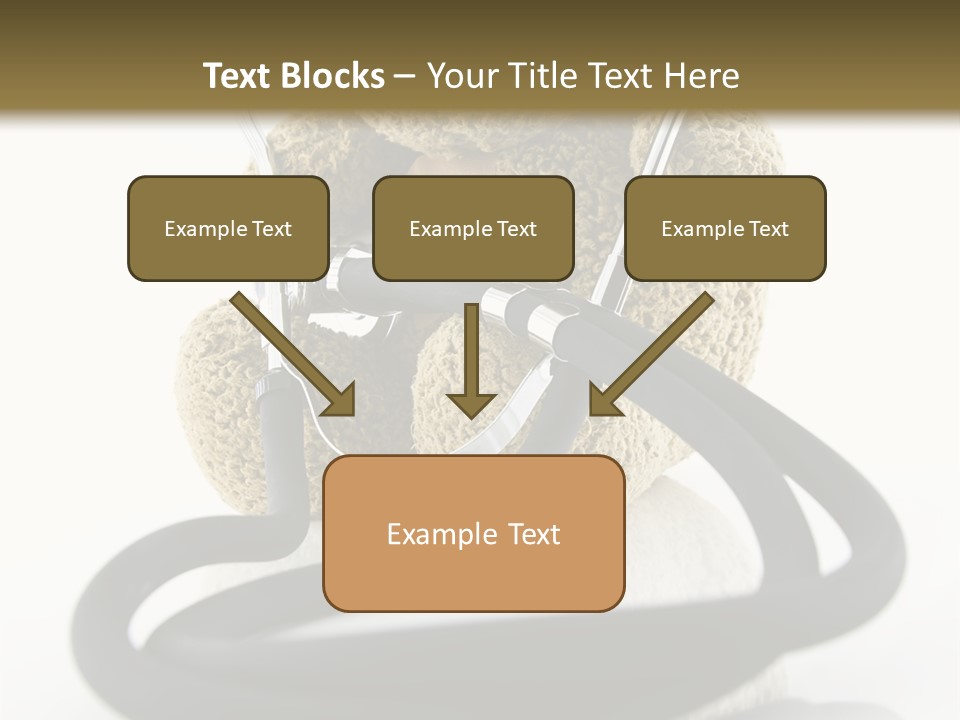 Examination Bear Wounded PowerPoint Template