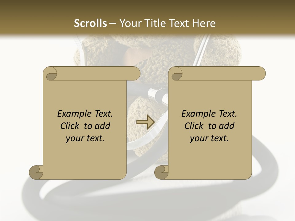 Examination Bear Wounded PowerPoint Template