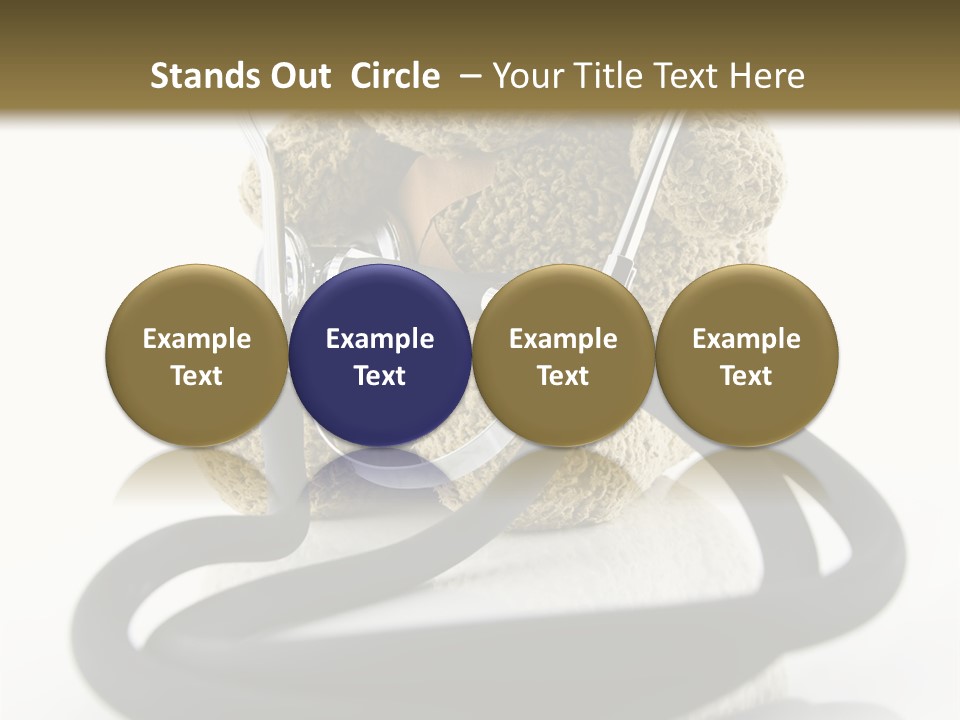 Examination Bear Wounded PowerPoint Template