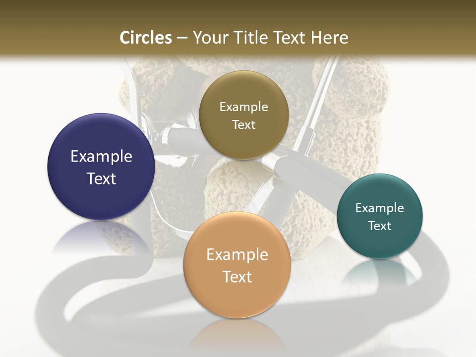 Examination Bear Wounded PowerPoint Template