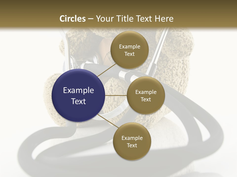 Examination Bear Wounded PowerPoint Template