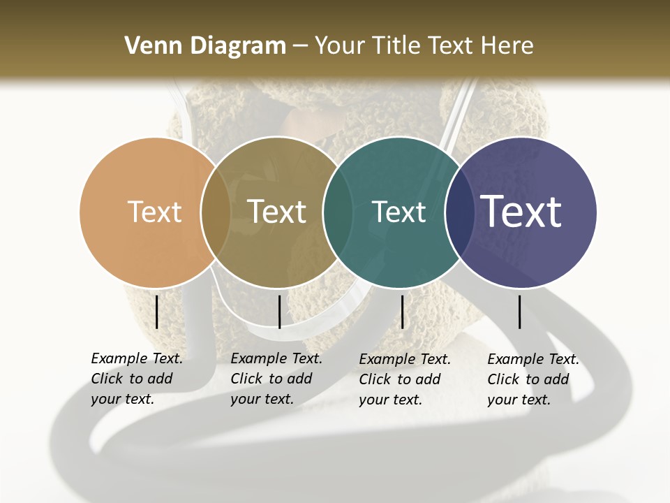 Examination Bear Wounded PowerPoint Template