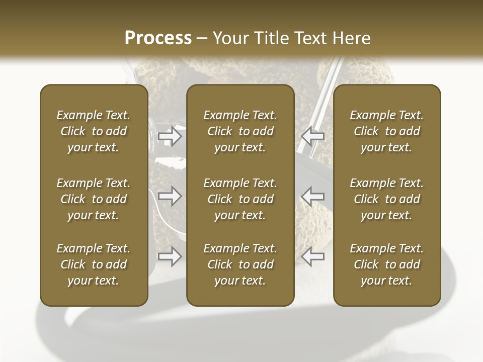 Examination Bear Wounded PowerPoint Template
