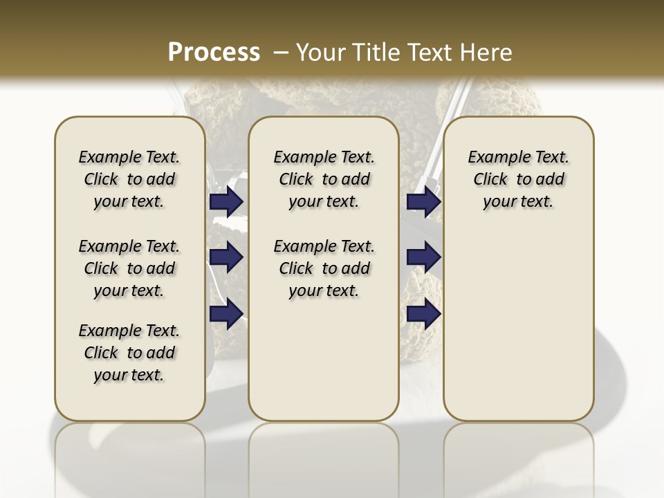 Examination Bear Wounded PowerPoint Template
