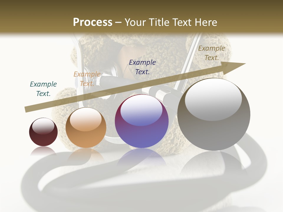 Examination Bear Wounded PowerPoint Template