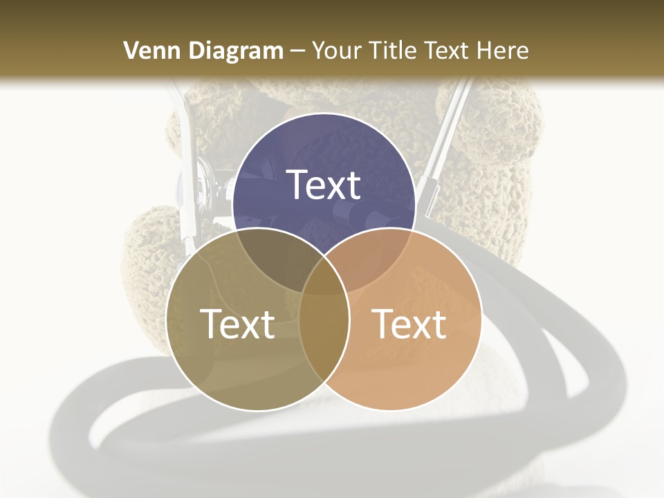 Examination Bear Wounded PowerPoint Template