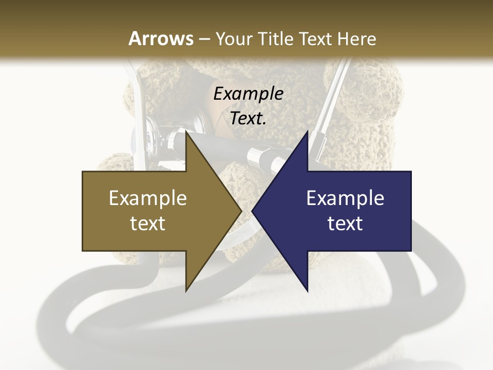 Examination Bear Wounded PowerPoint Template