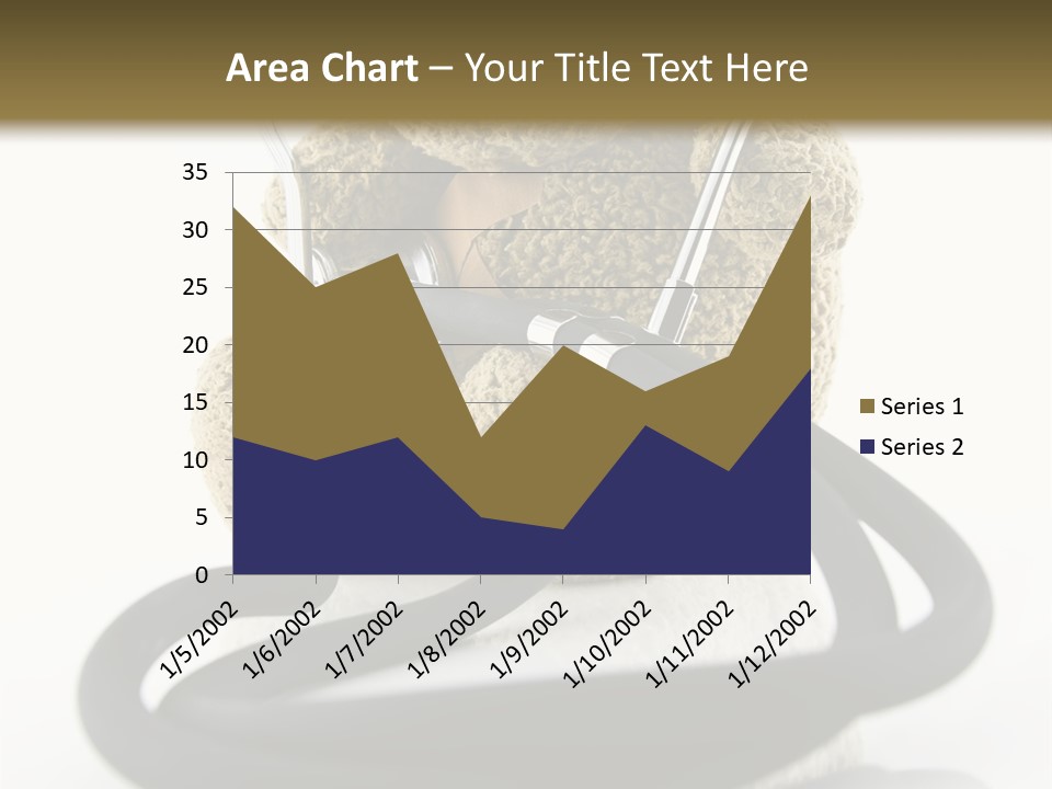 Examination Bear Wounded PowerPoint Template