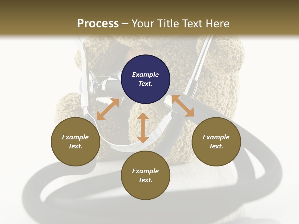 Examination Bear Wounded PowerPoint Template