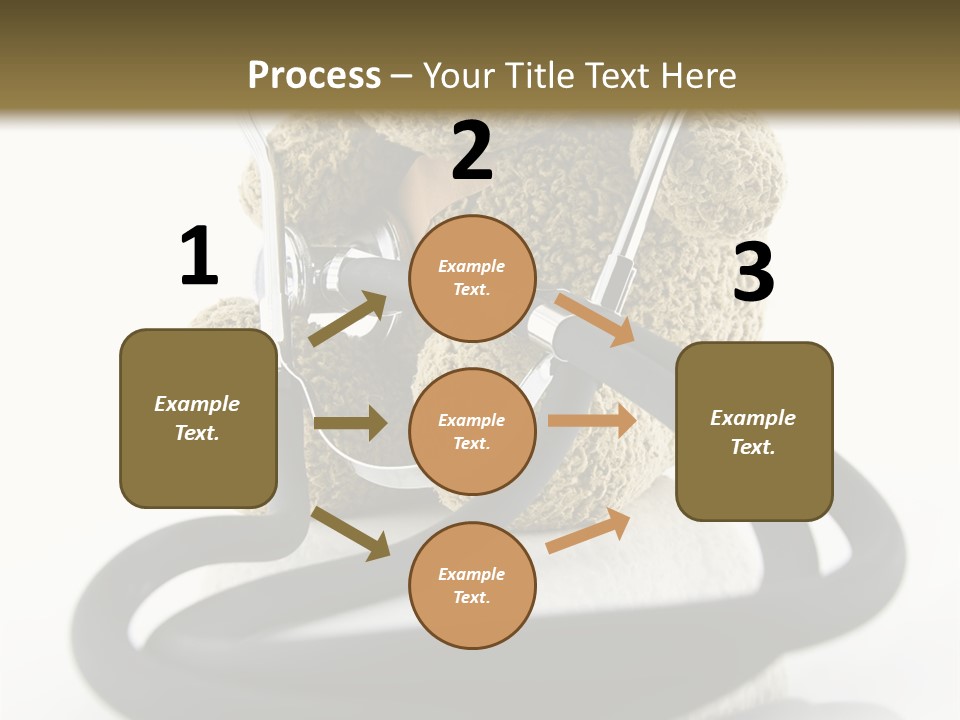 Examination Bear Wounded PowerPoint Template