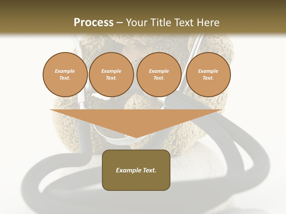 Examination Bear Wounded PowerPoint Template