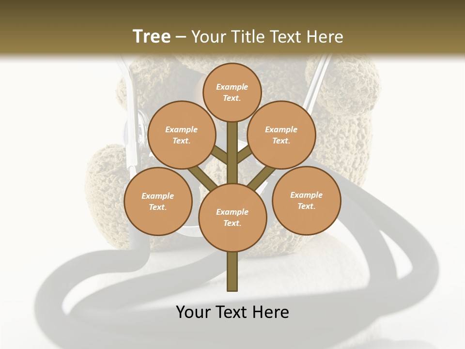 Examination Bear Wounded PowerPoint Template