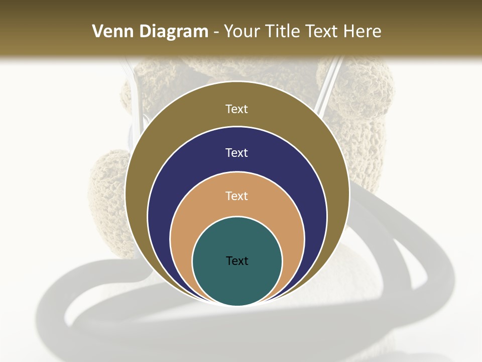 Examination Bear Wounded PowerPoint Template