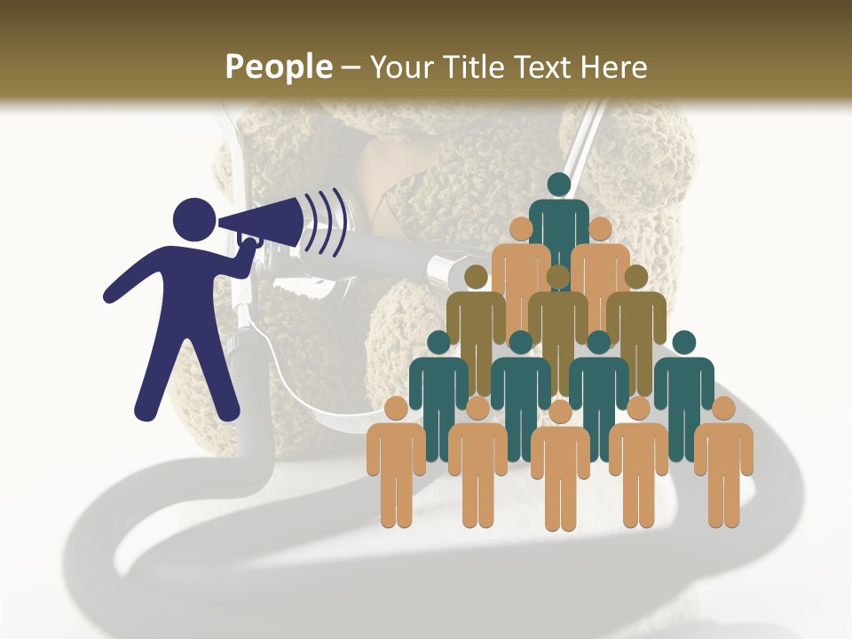 Examination Bear Wounded PowerPoint Template