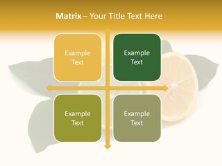 Lemon Fruit Citrus PowerPoint Template