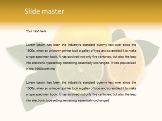 Lemon Fruit Citrus PowerPoint Template