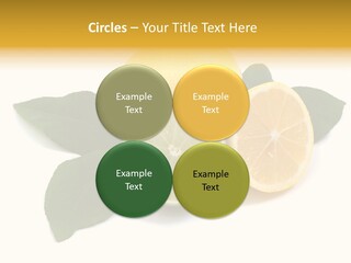 Lemon Fruit Citrus PowerPoint Template