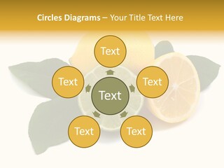 Lemon Fruit Citrus PowerPoint Template