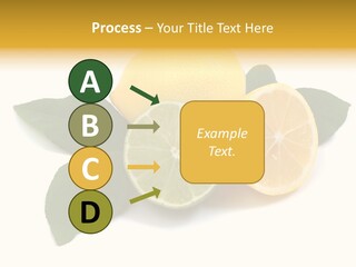 Lemon Fruit Citrus PowerPoint Template