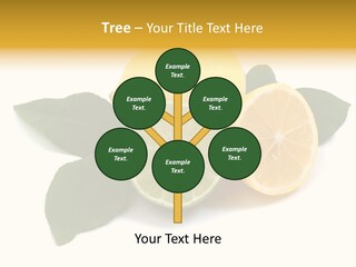 Lemon Fruit Citrus PowerPoint Template