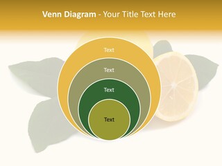 Lemon Fruit Citrus PowerPoint Template