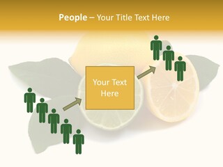 Lemon Fruit Citrus PowerPoint Template